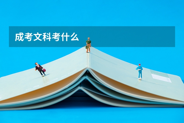 成考文科考什么