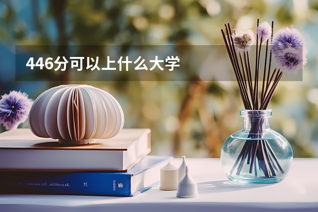 446分可以上什么大学