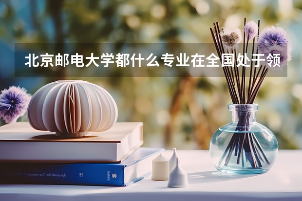 北京邮电大学都什么专业在全国处于领先地位