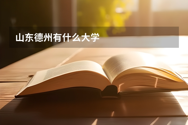 山东德州有什么大学