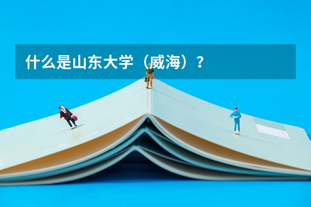 什么是山东大学（威海）？
