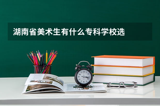 湖南省美术生有什么专科学校选