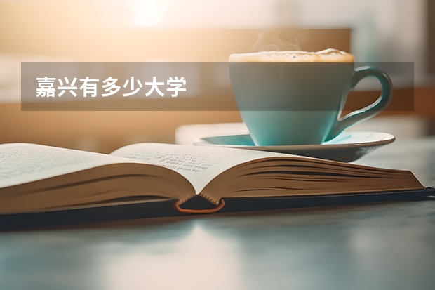 嘉兴有多少大学
