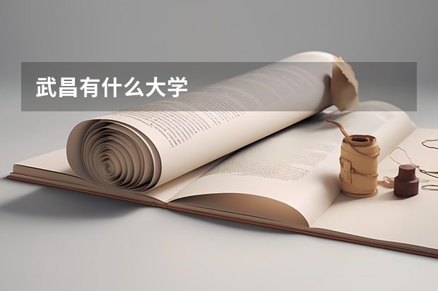 武昌有什么大学