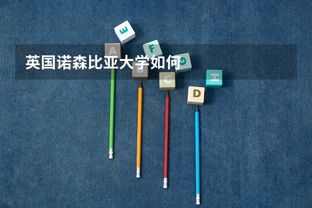 英国诺森比亚大学如何