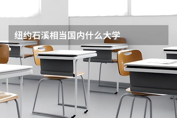 纽约石溪相当国内什么大学