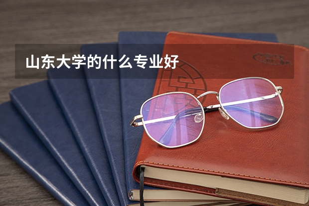 山东大学的什么专业好