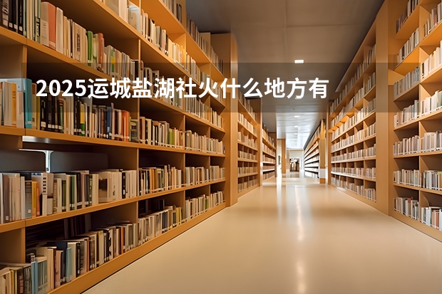 2025运城盐湖社火什么地方有