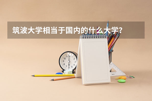 筑波大学相当于国内的什么大学？